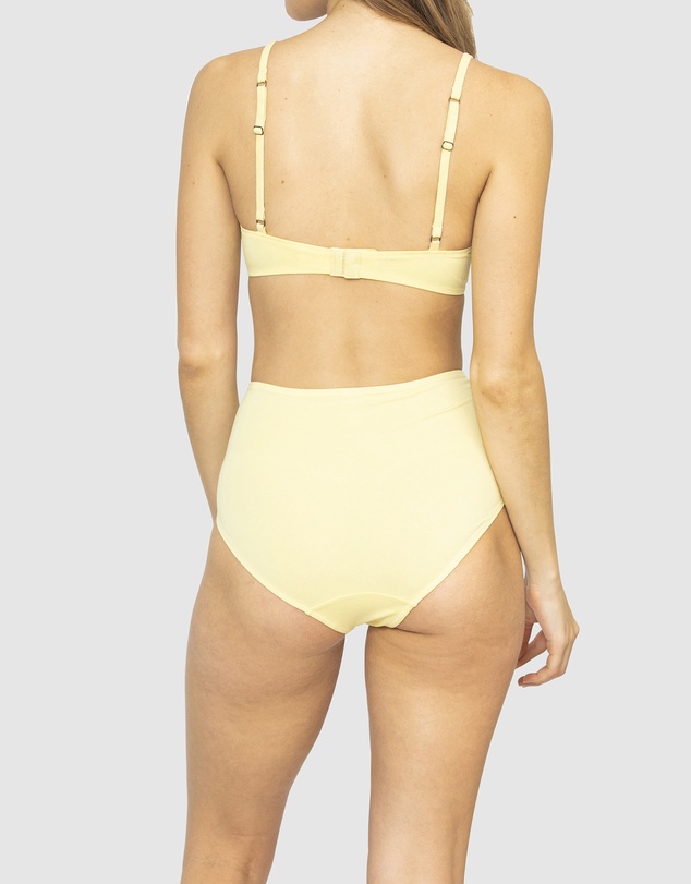 NICO - Plant Dyed Organic Cotton High Waisted Briefs