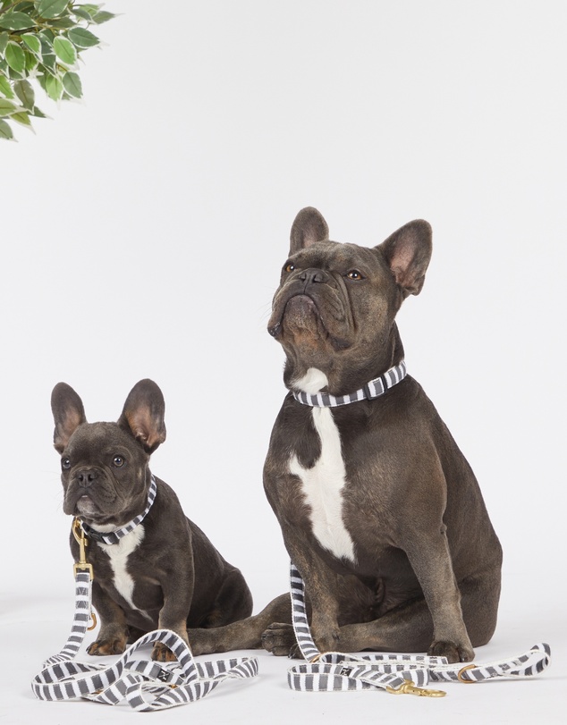Mog & Bone - Multi-Function Hemp Dog Lead - Charcoal Hampton Stripe