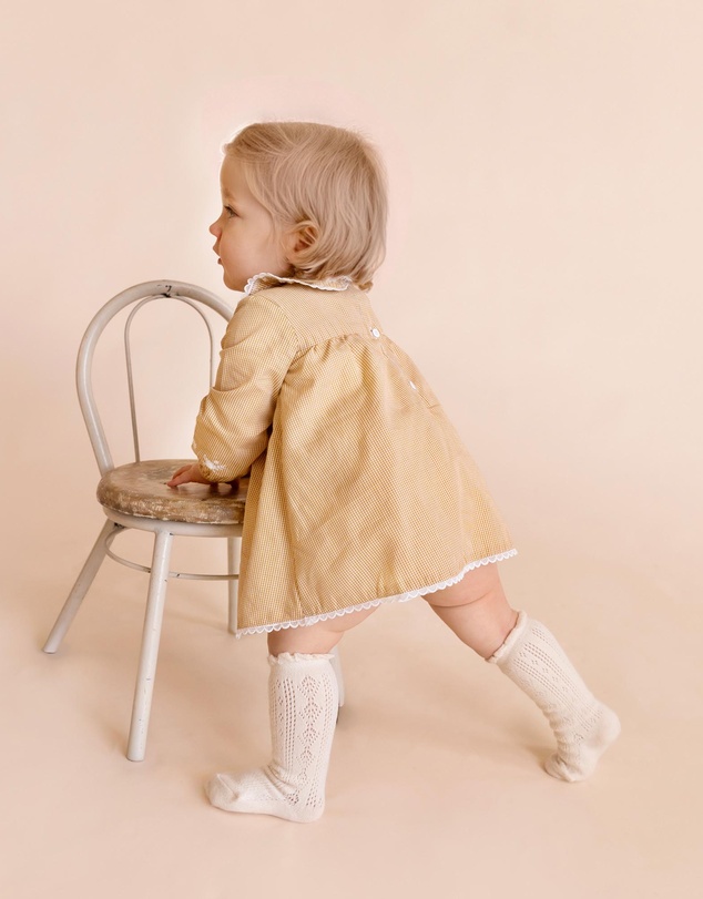 Bebe by Minihaha - Winnie Embroidered Gingham Overlay Dress - Babies