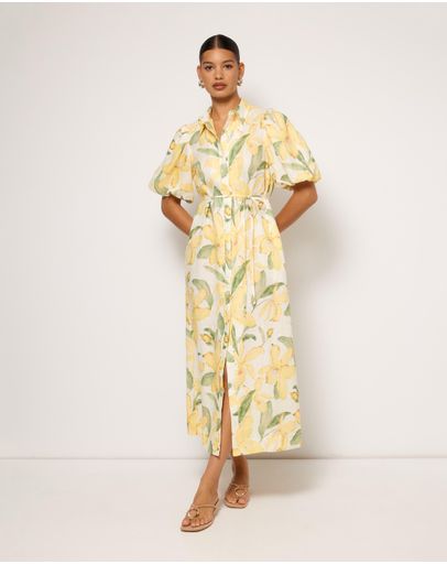 Lomi Print