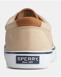 Sperry - Striper II Canvas Chino- Men's