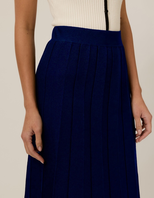Tussah - Lisa Pleated Knit Skirt