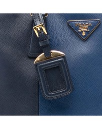 Pre-Loved by Azura Reborn - Pre-Loved Medium Bicolor Saffiano Lux Promenade Satchel
