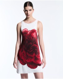Muma World - Emirati Electra Mini Dress