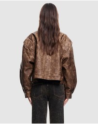 Lioness - Hailey Bomber