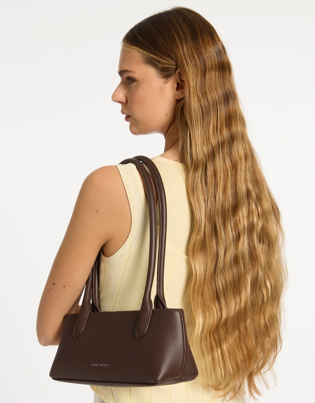 Status Anxiety - The Lost Shoulder Bag
