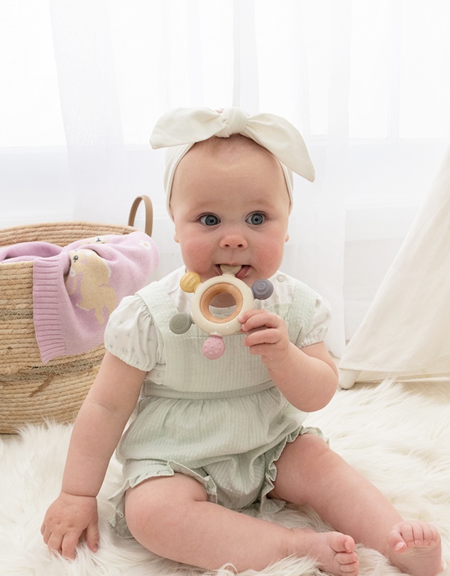 Playground - Multi-Surface Teething Wheel - Rose