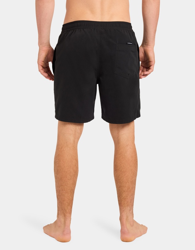 Quiksilver - Mens Everyday Mesh 17