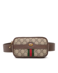 Pre-Loved by Azura Reborn - Pre-Loved Small GG Supreme Web Ophidia Belt Bag