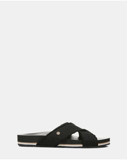 Black Canvas