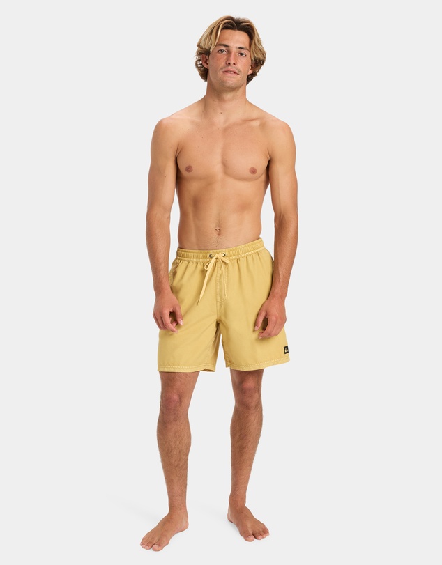 Quiksilver - Mens Everyday Volley 17