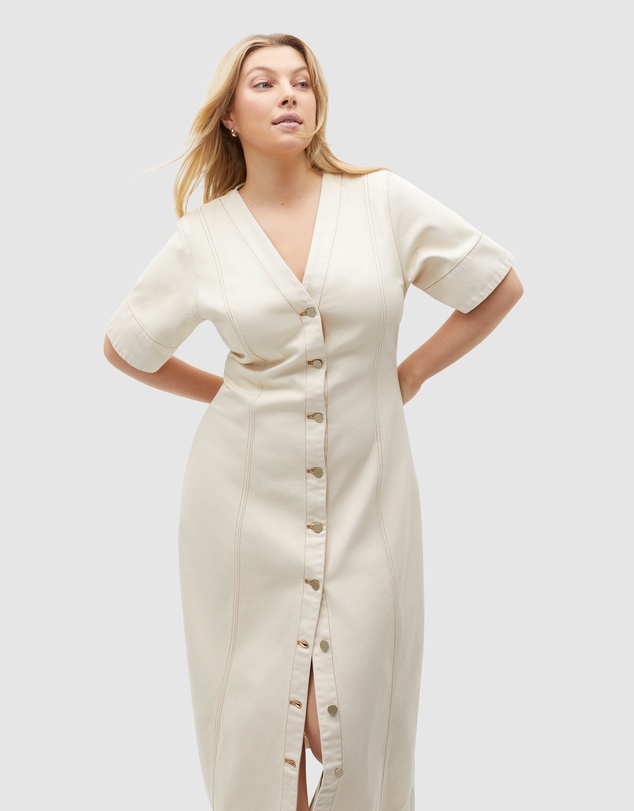 Seed Heritage - Denim Panelled Midi Dress
