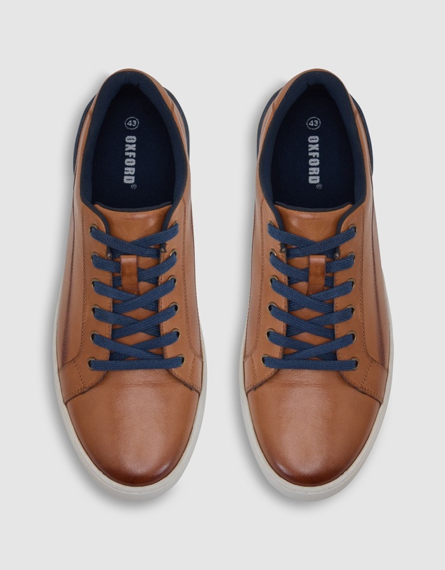 Oxford - Brampton Leather Sneaker