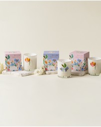 Palm Beach Collection - Amber Skies 420g Scented Candle