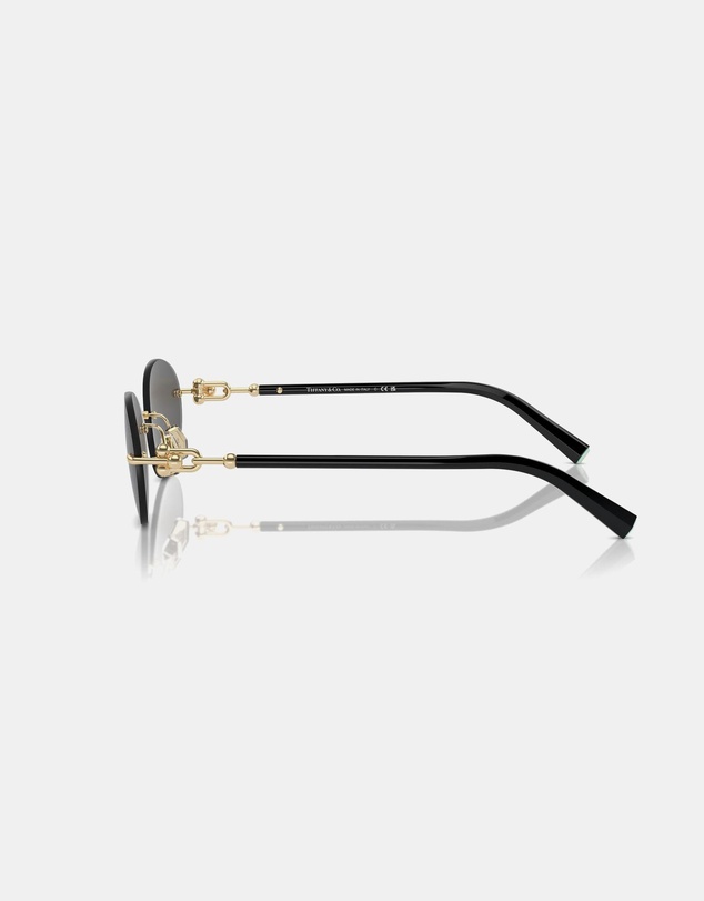 Tiffany & Co. - 0TF3104D