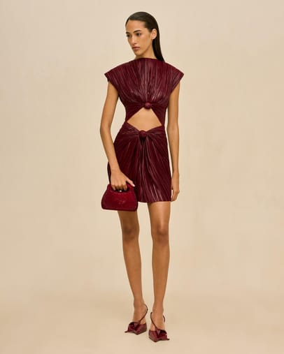 Winter Plum