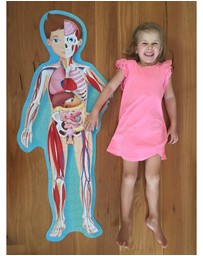 Sassi - Travel Learn Explore The Body Puzzle