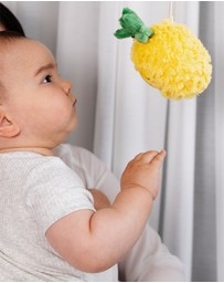 Living Textiles - 2 Pack Mini Market Brunch Stroller Toys - Pineapple & Cherries