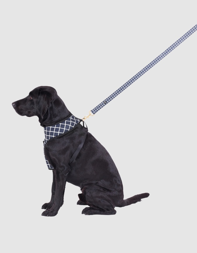 Mog & Bone - Neoprene Dog Harness - Navy Check Print