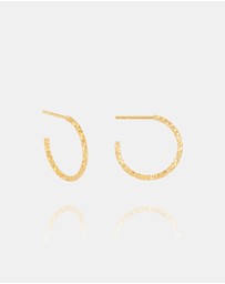 Rachel Jackson - Shimmering Sun Medium Hoop Earrings Gold