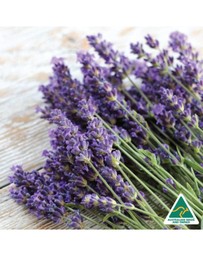 Silk Oil of Morocco - Skin Elixir Trio