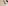 Summer 2021 Sportswear Men's and Women's Activewear Lookbook