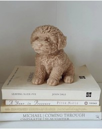 Love Ally - Cavoodle Candle
