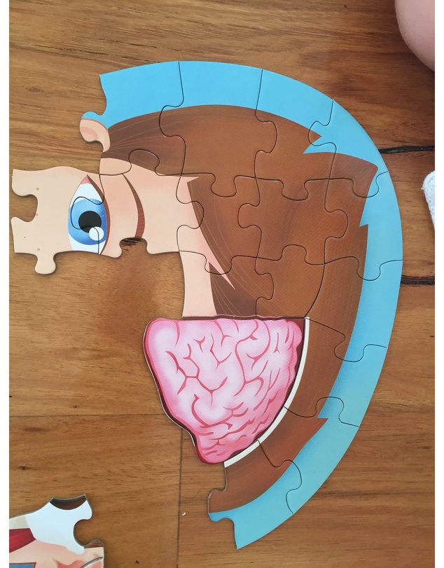Sassi - Travel Learn Explore The Body Puzzle