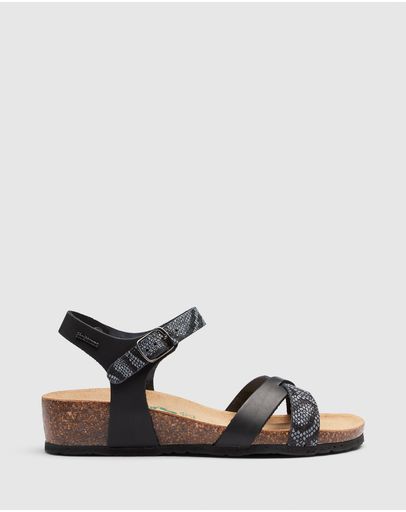 Black Multi