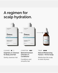 The Ordinary - Hair Care Natural Moisturizing Factors + HA