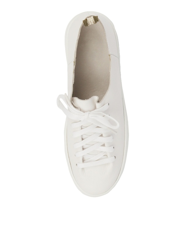 Mollini - Orphic