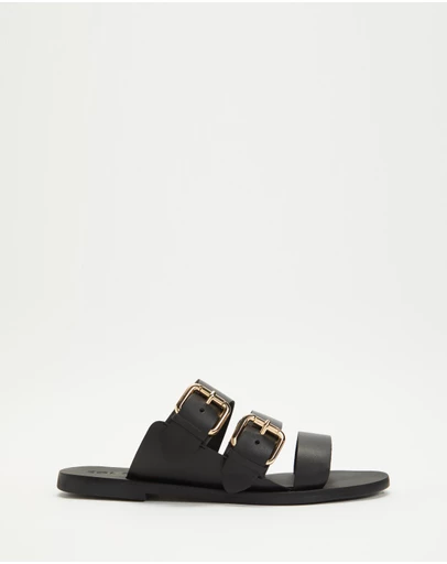 Sol Sana - Sensei Slides