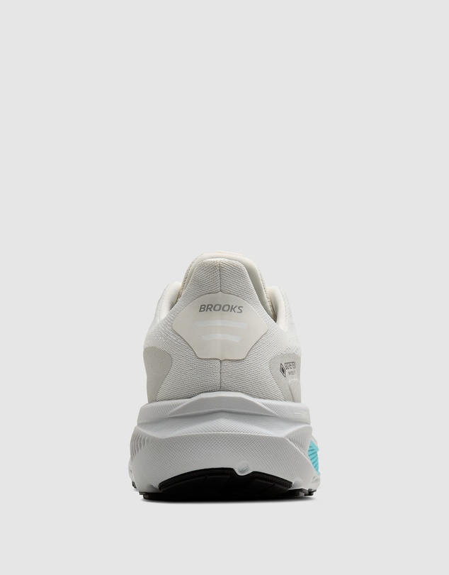 Brooks - Ghost 17 GTX - Women's