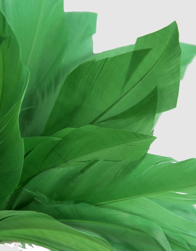 Max Alexander - Modern Green Racing Fascinator