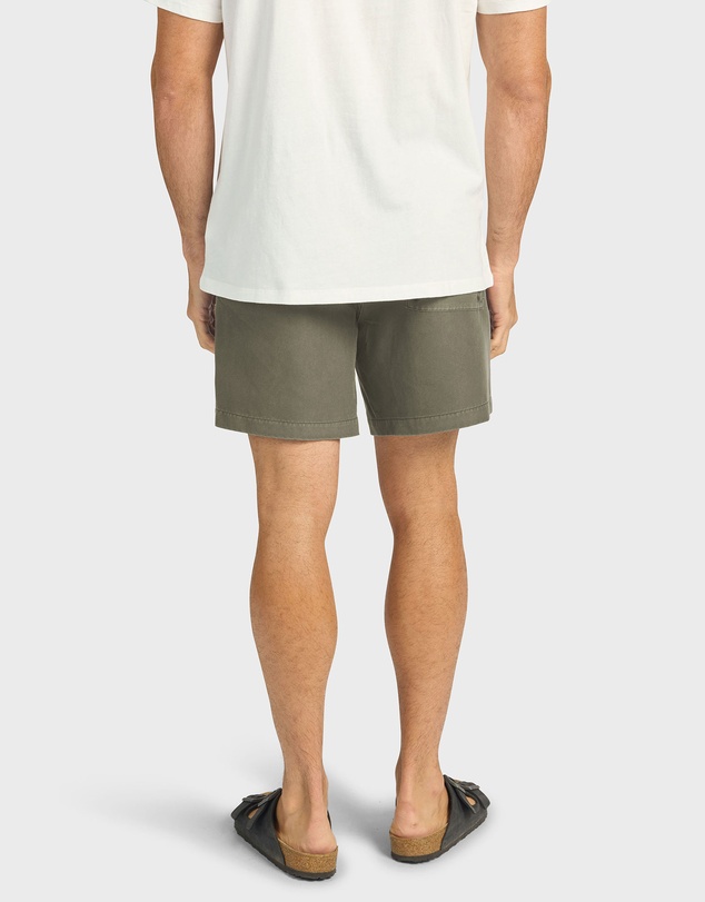 Academy Brand - Teamster Boardy