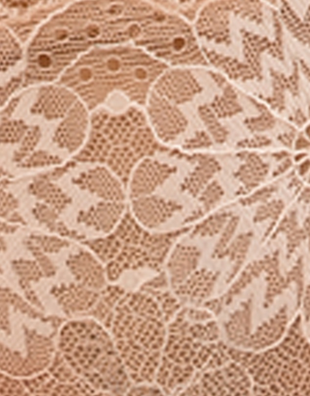 Parfait - Luxlacy Sheer Mesh & Lace Hipster Brief
