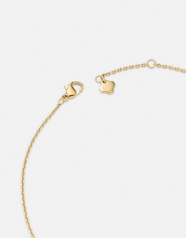 Daniel Wellington - Bric Necklace