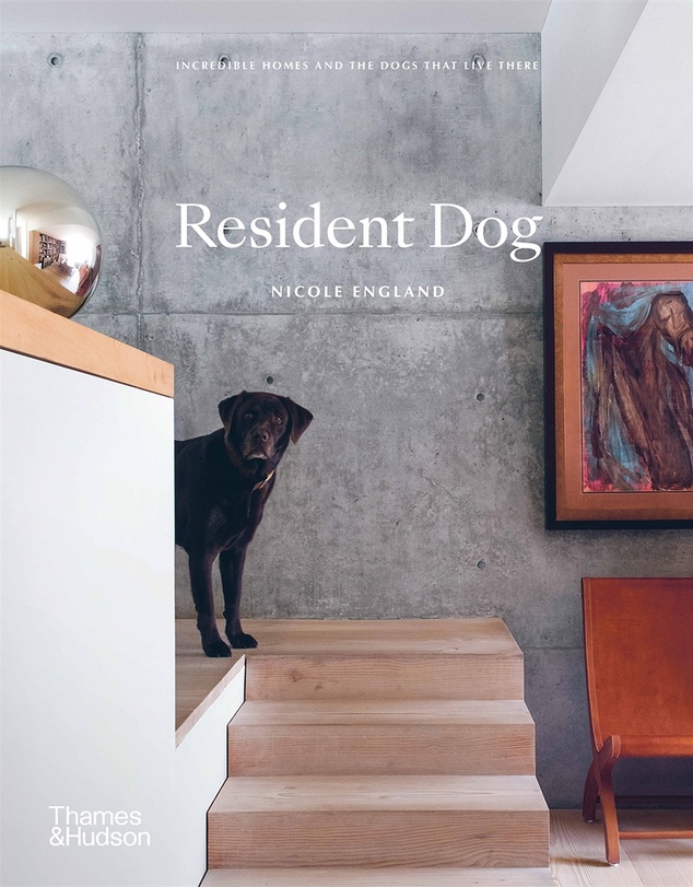 Brumby Sunstate - Resident Dog