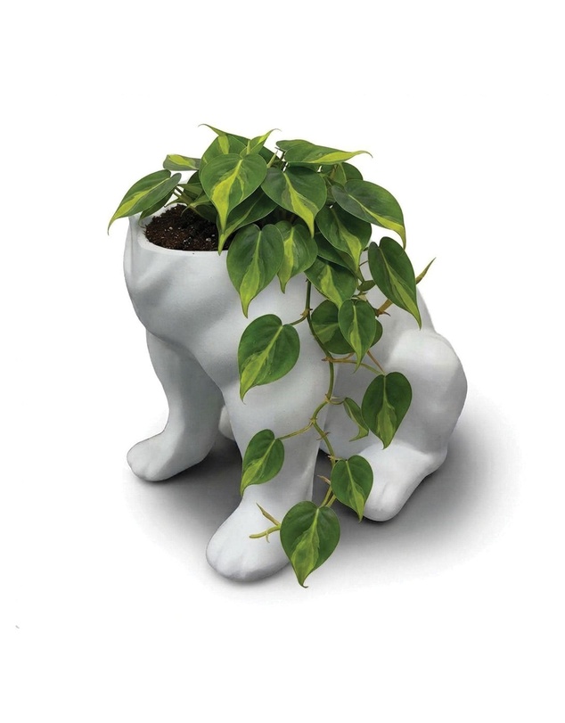 Urban Attitude - Urban Attitude Maggie Bulldog Planter - Matte White