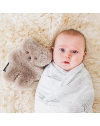 FLATOUTbear - Baby Chocolate
