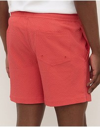 Assembly Label - Seth Swim Shorts