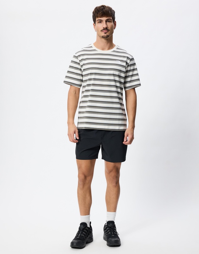 The North Face - Stripe SS Tee