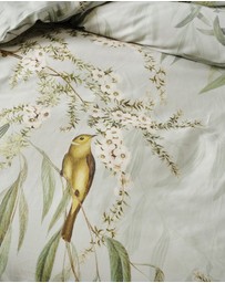 Linen House - Eppalock Quilt Cover Set
