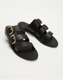 Sol Sana - Sensei Slides