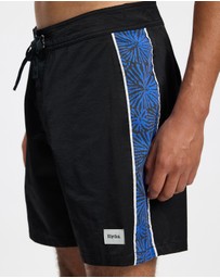 Rhythm - Subterranean Panel Trunks