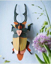 Studio Roof  - Wall Art Beetles A4