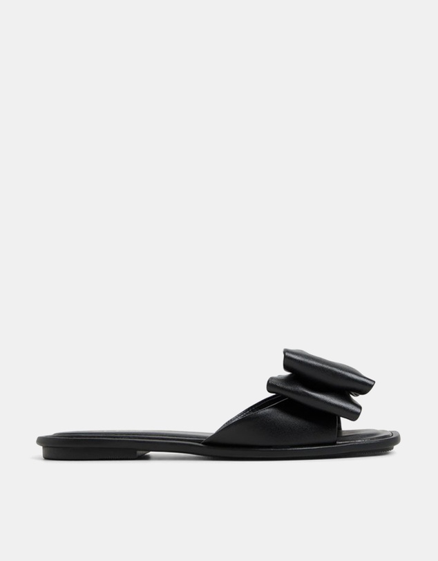 ALDO - Bowetta Ballerina & Flats