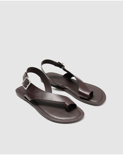 Chocolate Brown