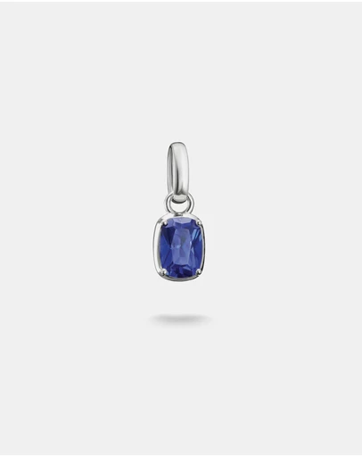 THOMAS SABO - THOMAS SABO Connect Charm Birthstone September