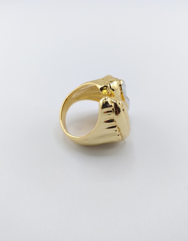 Miz Casa and Co - Cody Ring